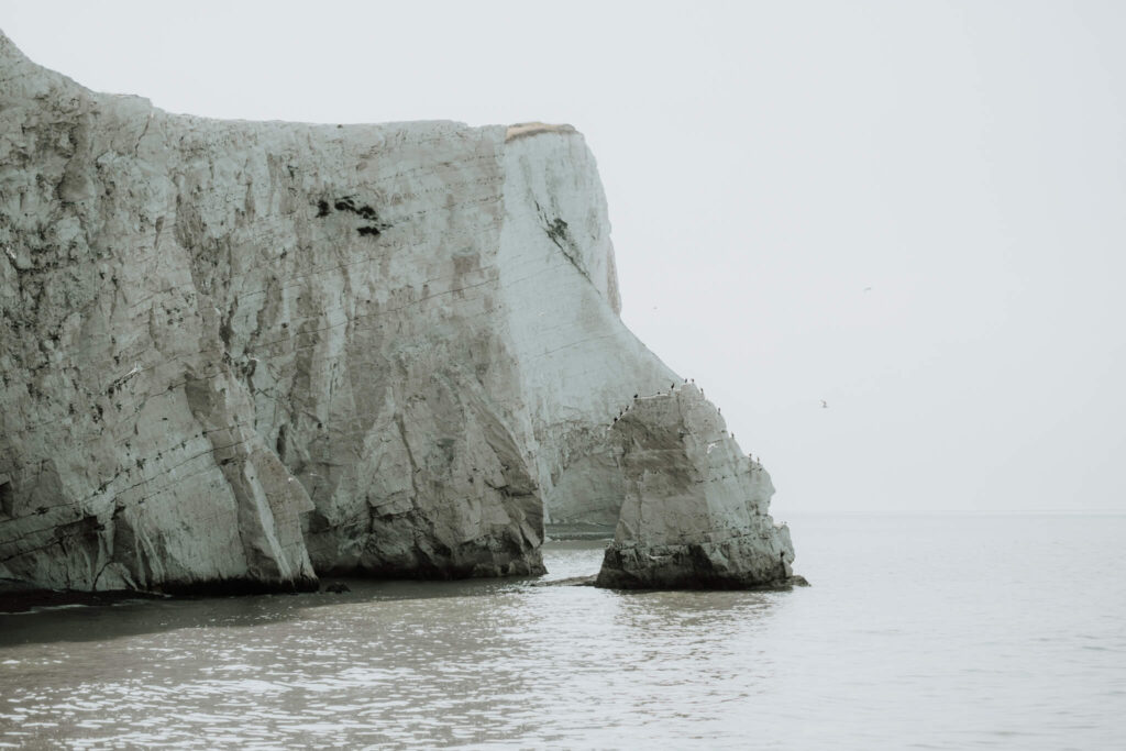 couples session on the cliffs in seaford